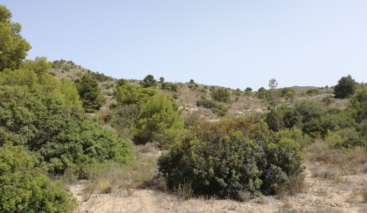 33286m2 urbanizable land for later to build for sale in Ptda Atalayas