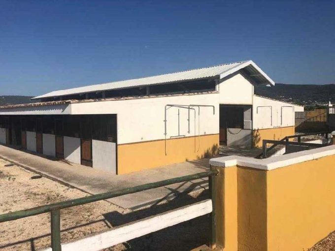 1524m2 warehouse for sale in Pj Partida Raconch