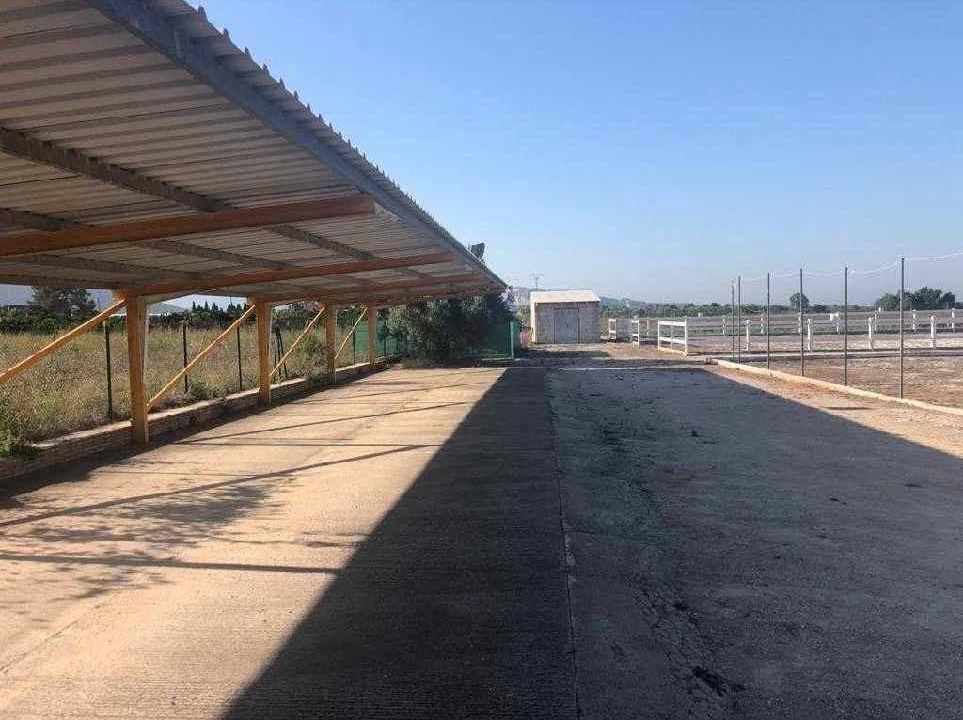 1524m2 warehouse for sale in Pj Partida Raconch