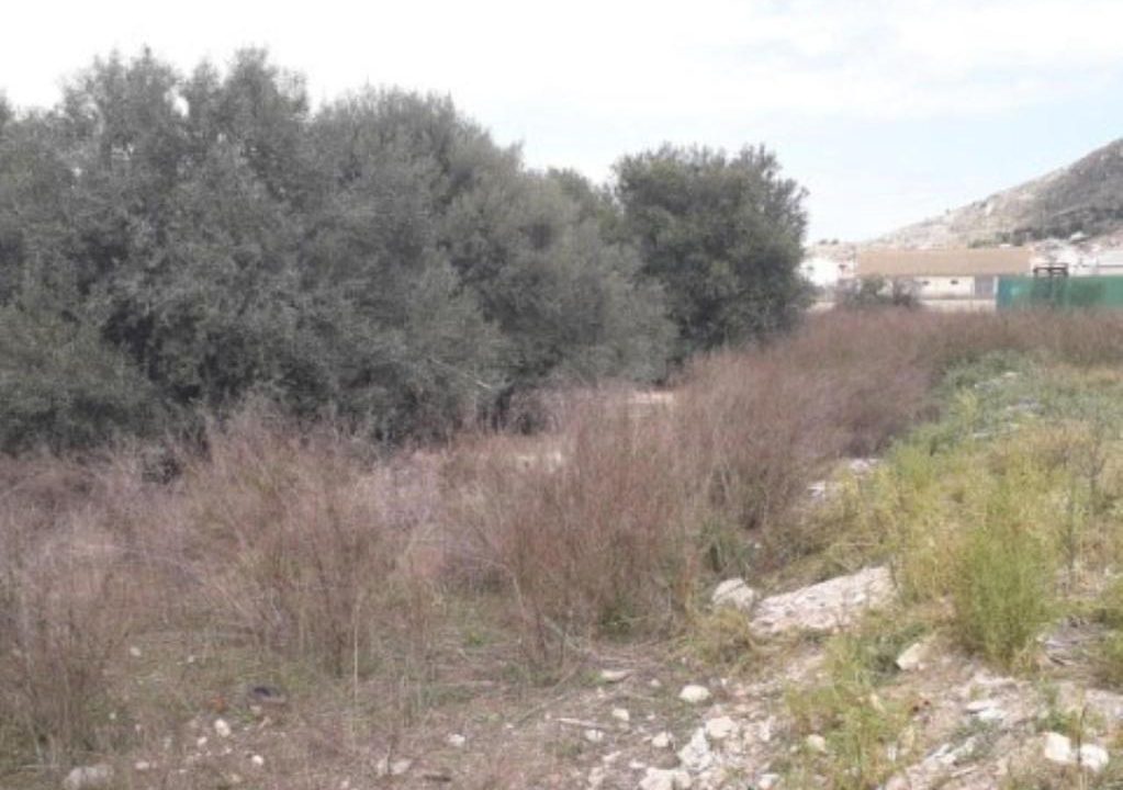 3072m2 urban land for building for sale in DELS FUSTERS