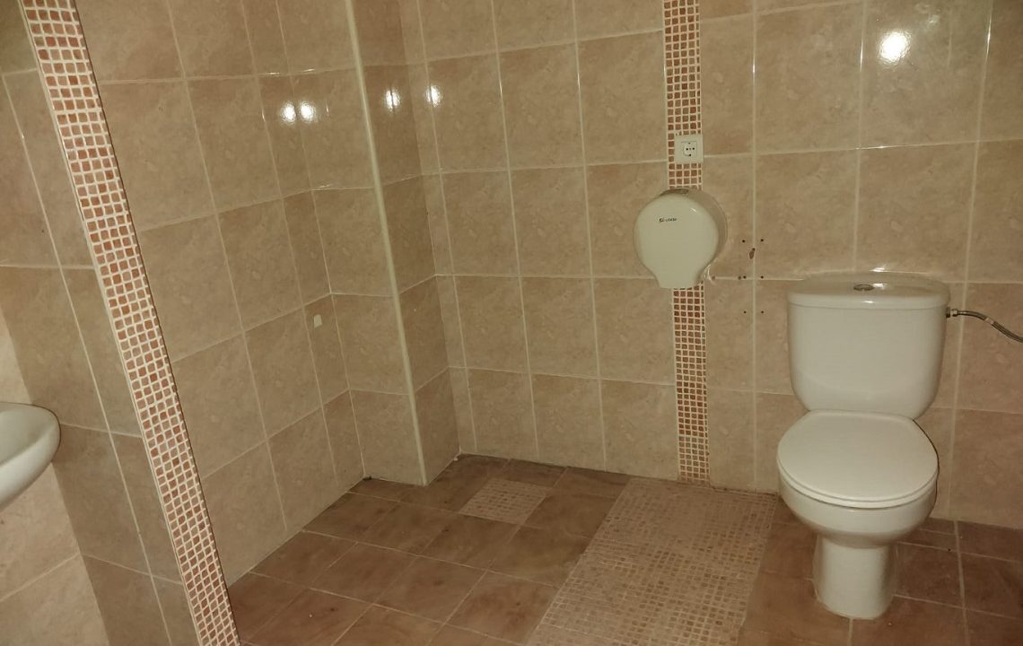 s4OK31d6qX